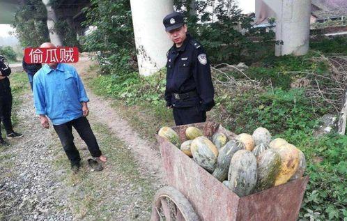 武都网红 吃瓜事件视频,揭秘网络舆论的风云变幻