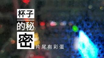 辽宁饭店爆料视频播放网站,一窥酒店内部惊人真相