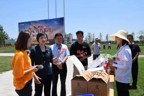 夏邑县最新情况爆料,揭秘疫情新进展与民生保障举措