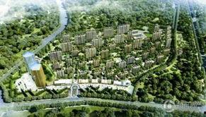 首地首城爆料最新消息