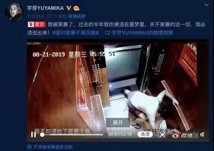 网红被爆料家暴事件视频